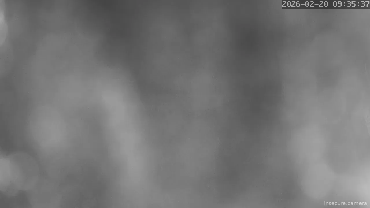 Capture from Feb 20, 2026 at 01:35 AM