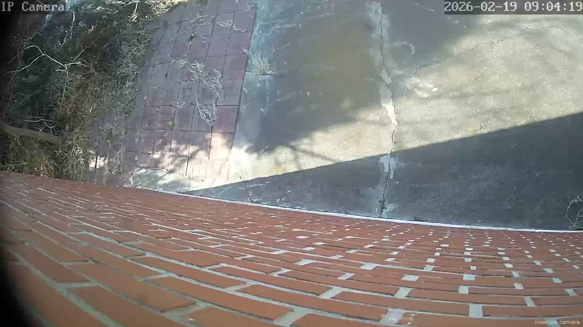 Capture from Feb 19, 2026 at 01:04 AM