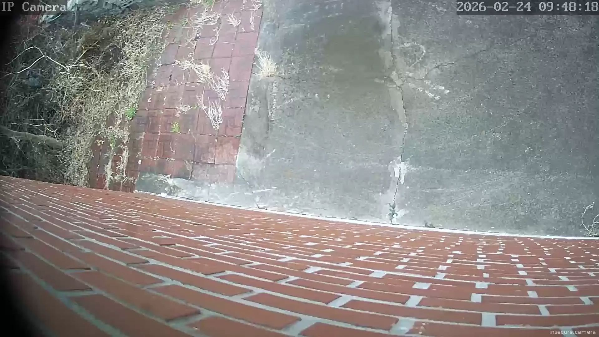 Camera in South Korea