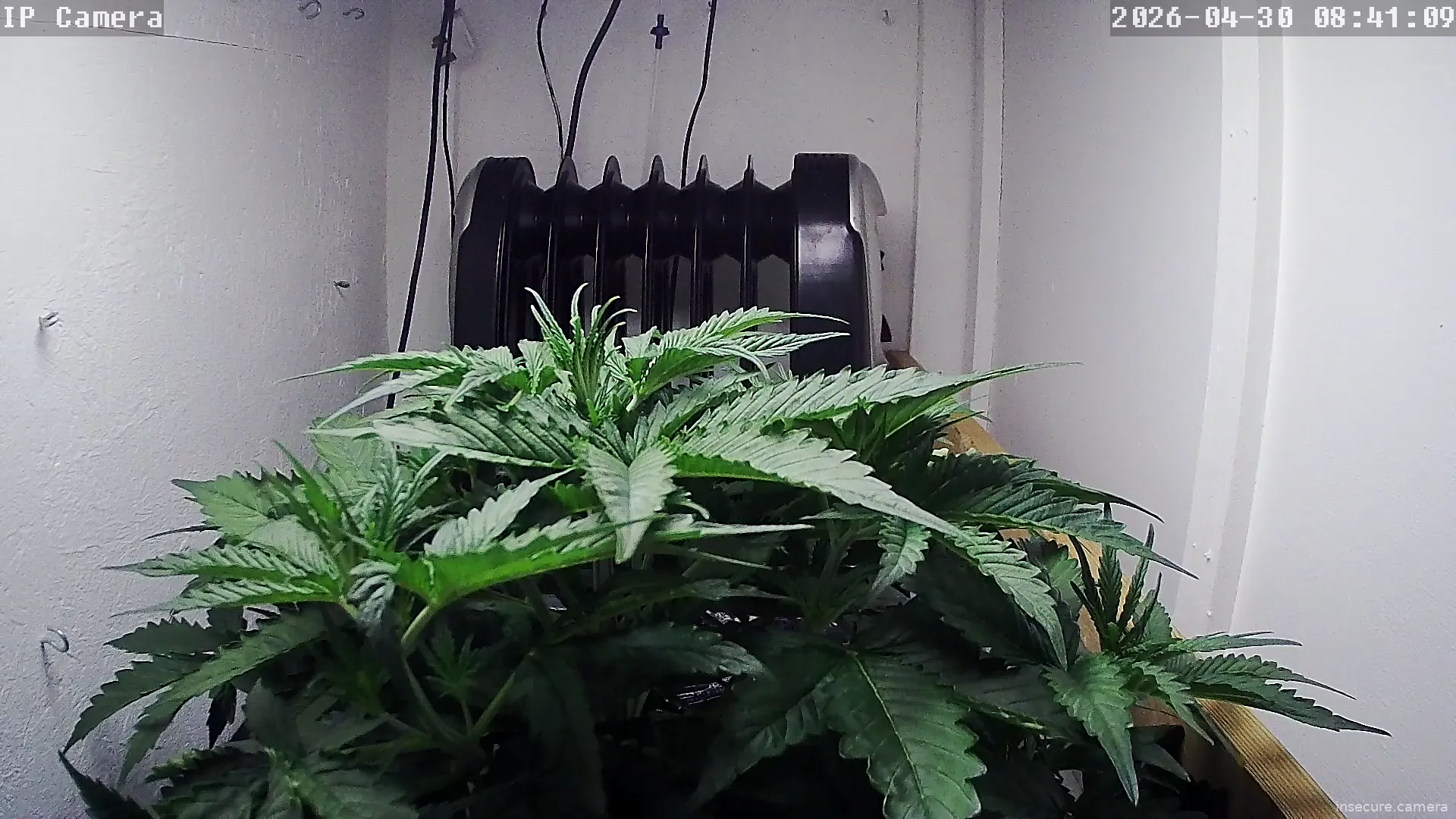 Capture from Apr 30, 2026 at 07:41 AM