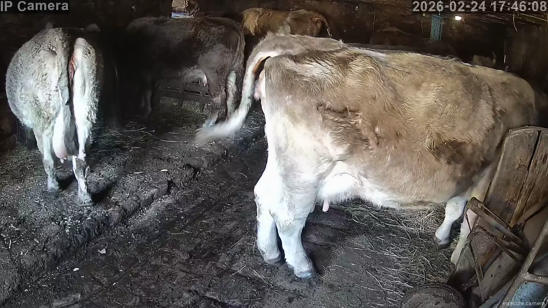 Capture from Feb 24, 2026 at 09:46 AM