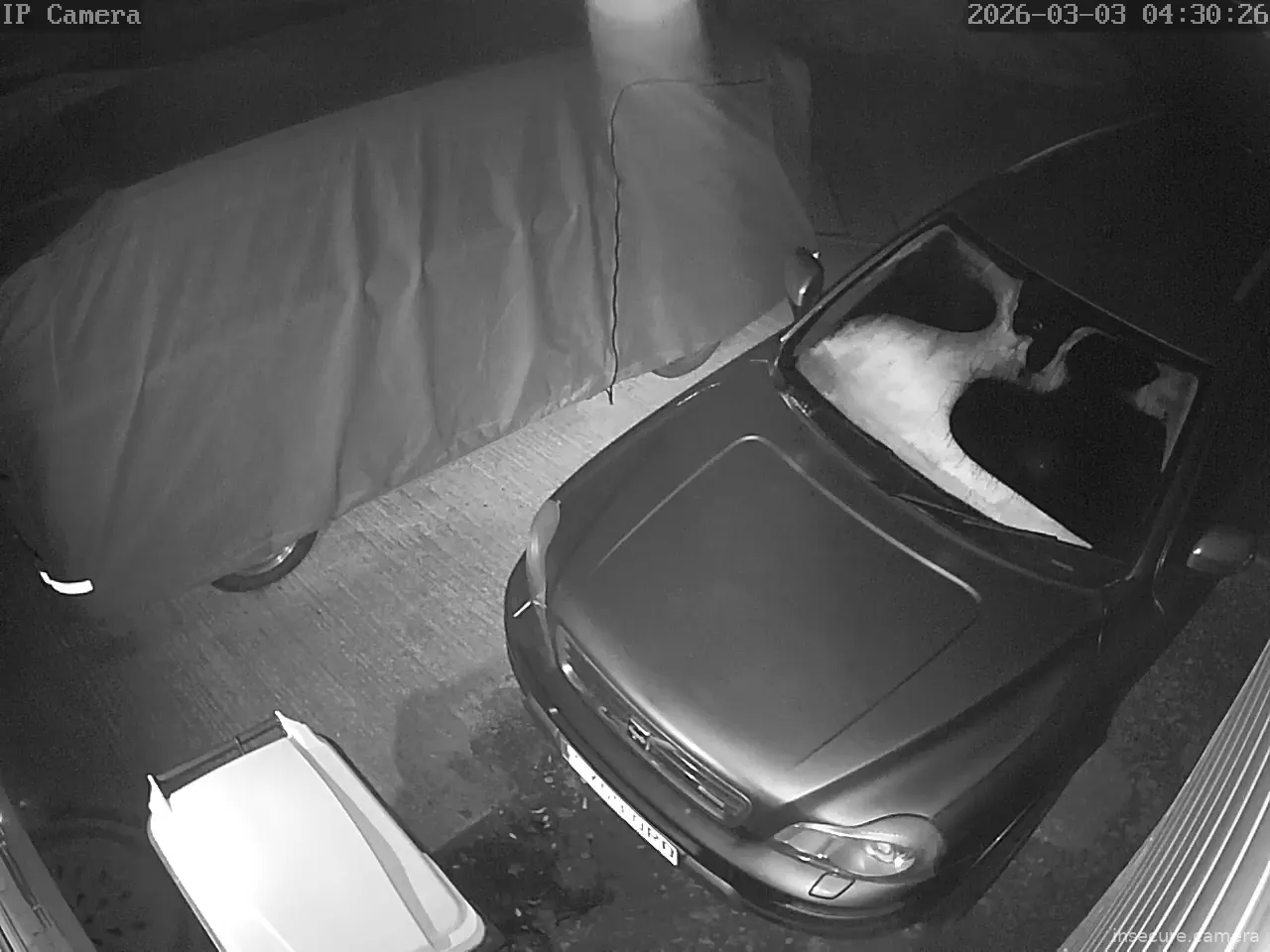 Capture from Mar 03, 2026 at 03:30 AM