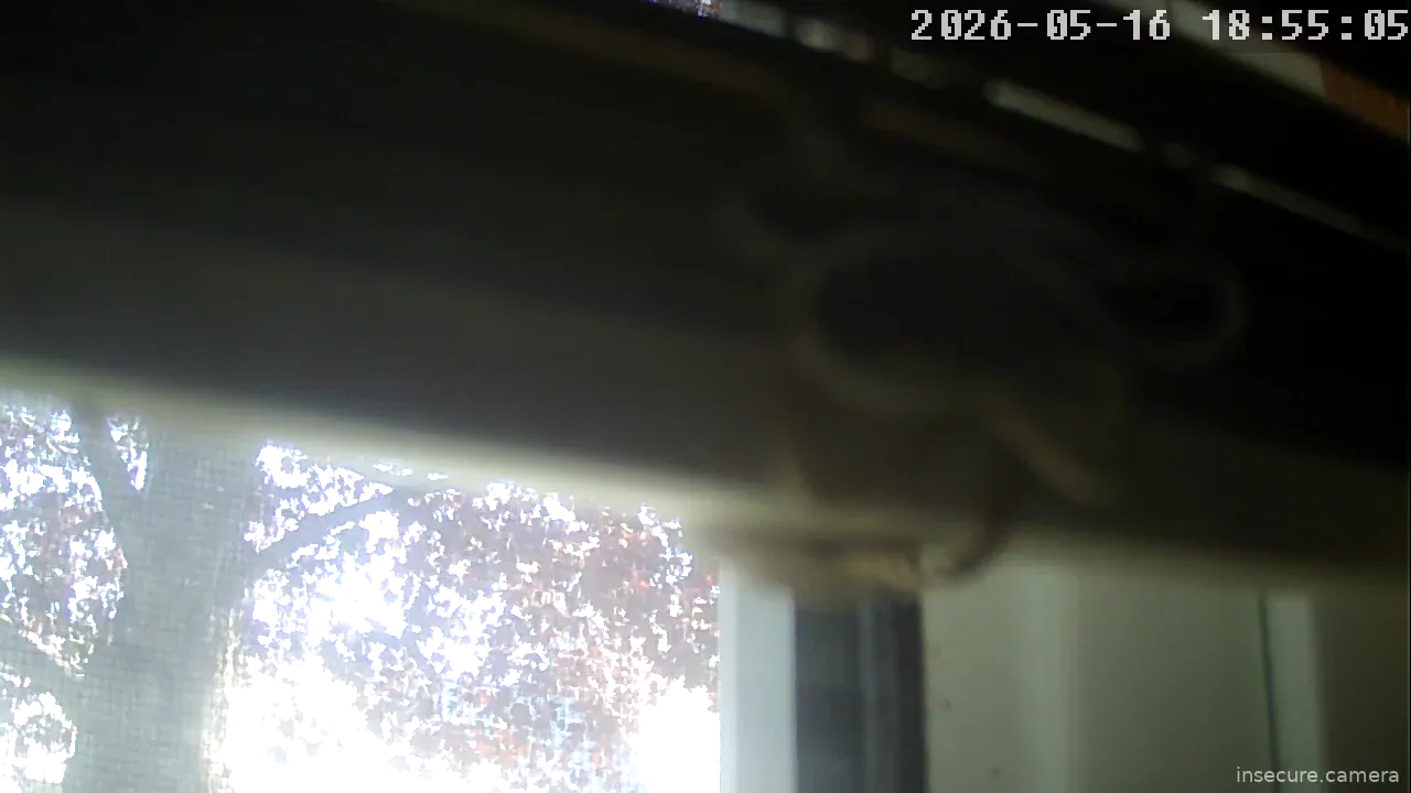 Capture from May 16, 2026 at 11:55 PM