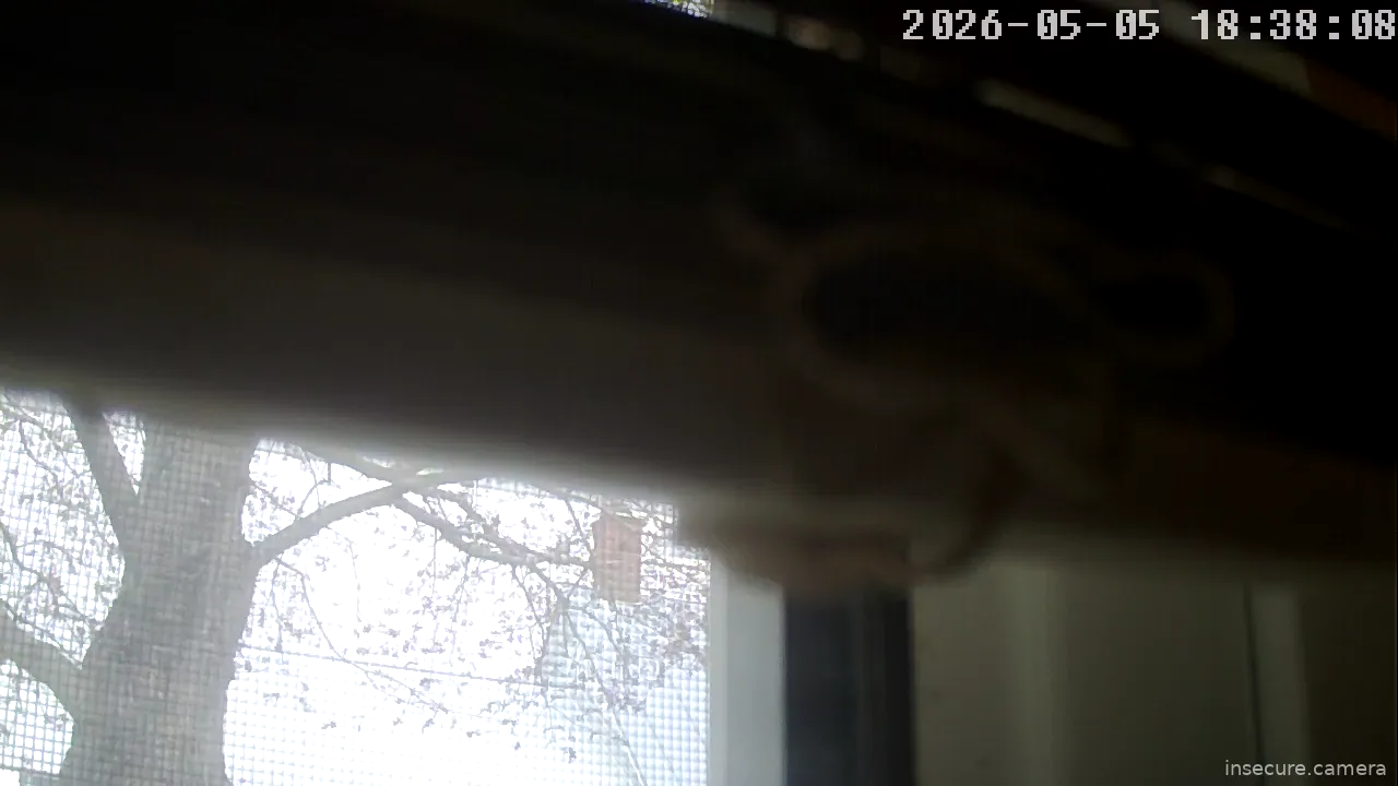 Capture from May 05, 2026 at 11:38 PM