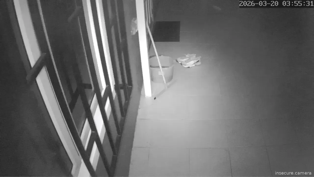 Capture from Mar 20, 2026 at 03:55 AM