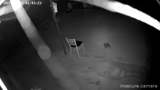 Capture from Feb 19, 2026 at 04:44 PM