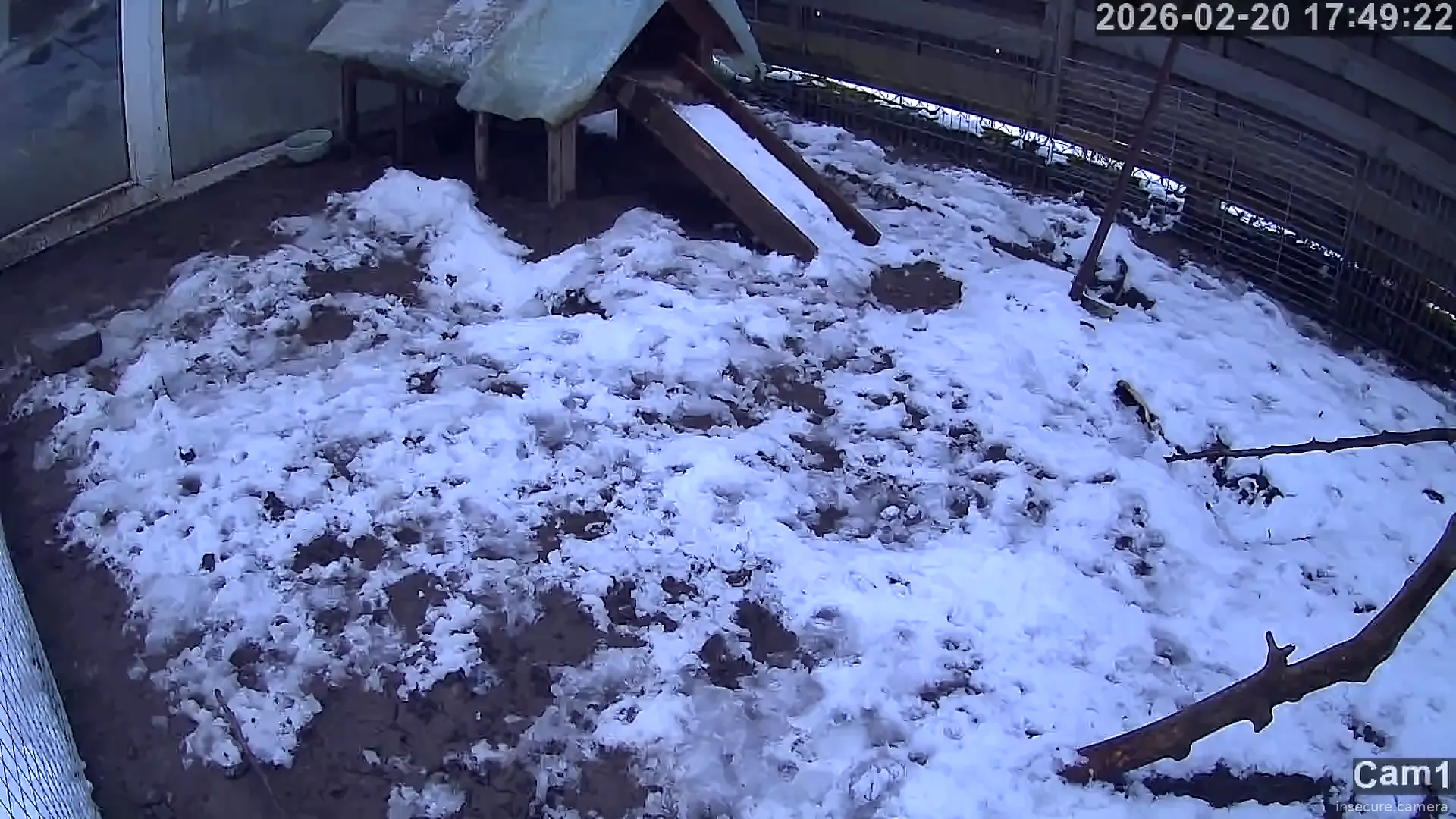 Capture from Feb 20, 2026 at 04:49 PM