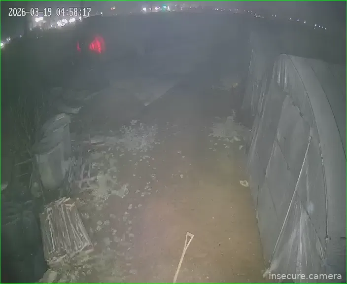 Camera in South Korea