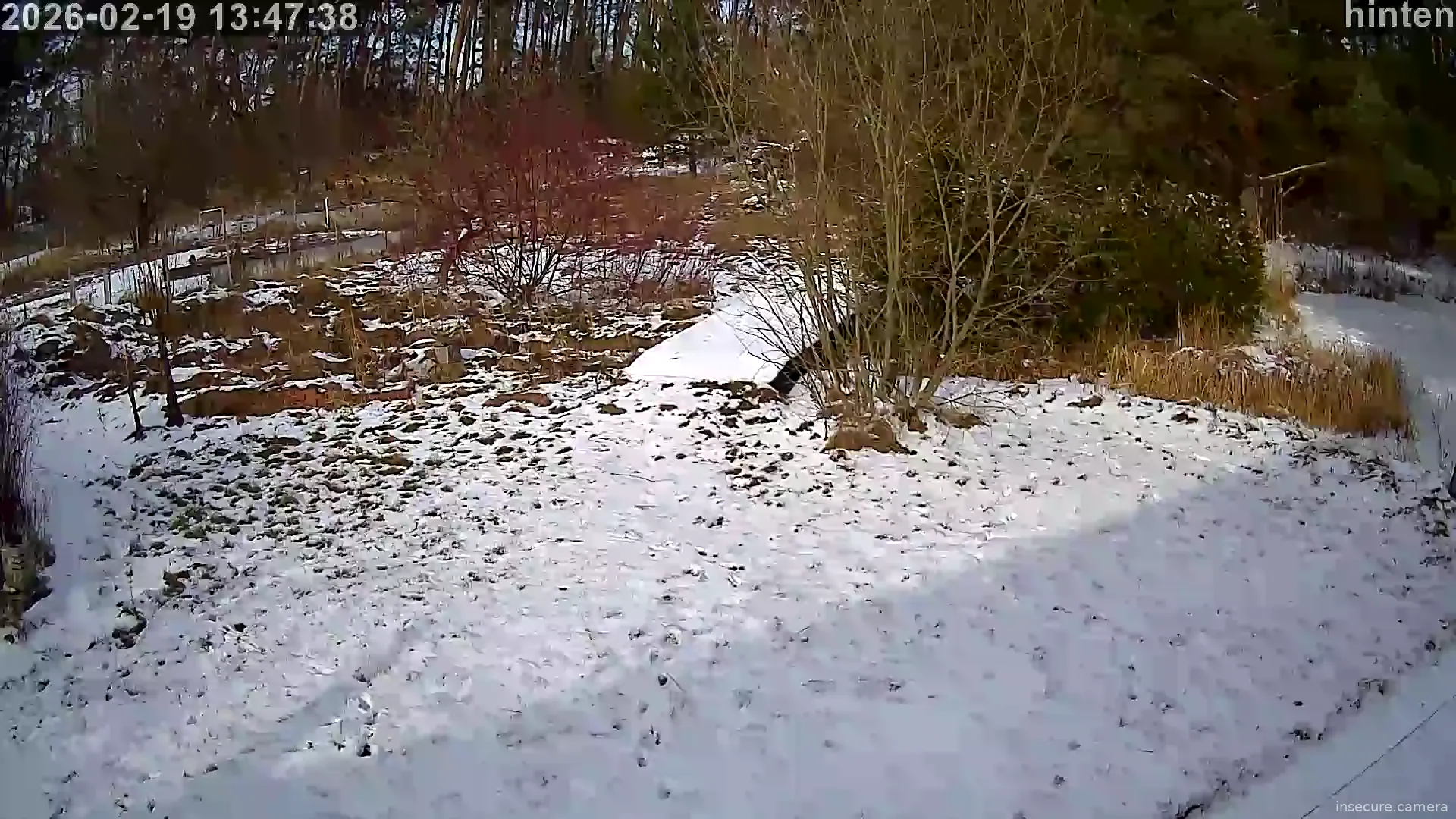 Capture from Feb 19, 2026 at 12:47 PM