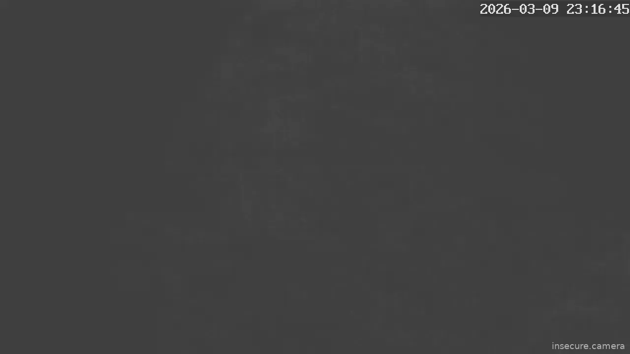 Capture from Mar 09, 2026 at 10:17 PM