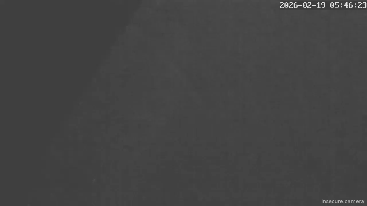 Capture from Feb 19, 2026 at 04:47 AM