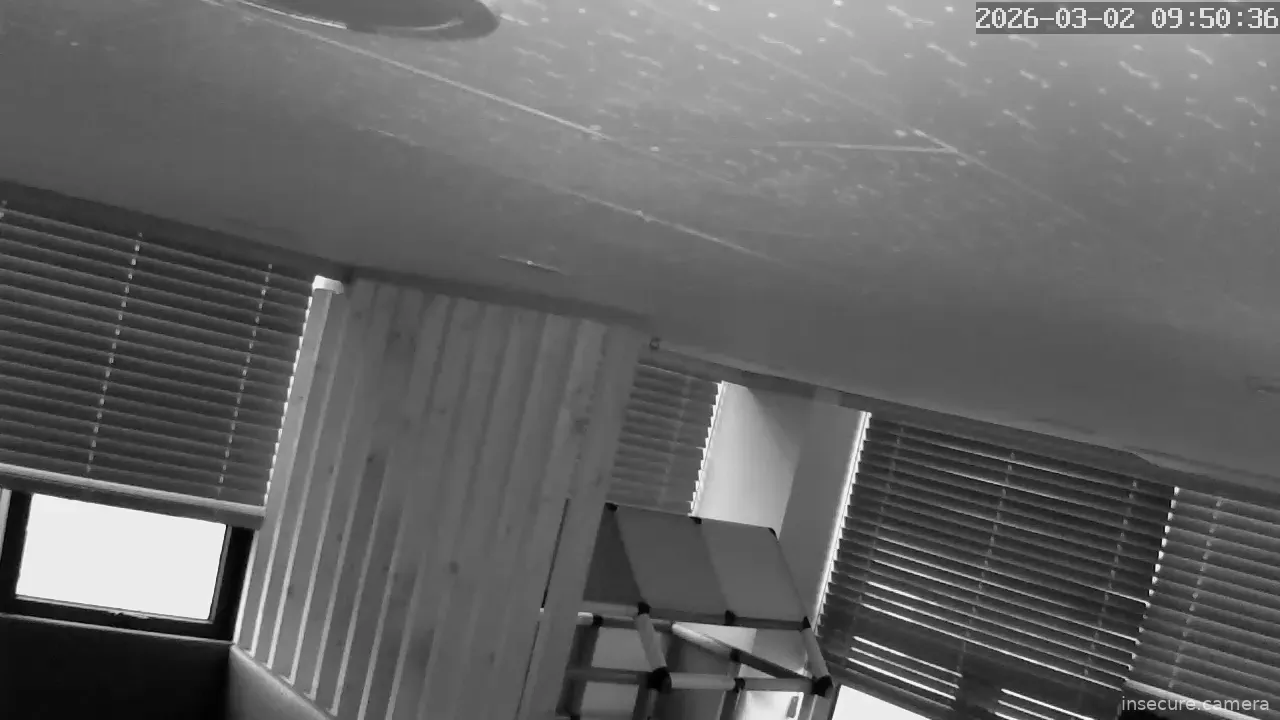 Capture from Mar 02, 2026 at 12:51 AM