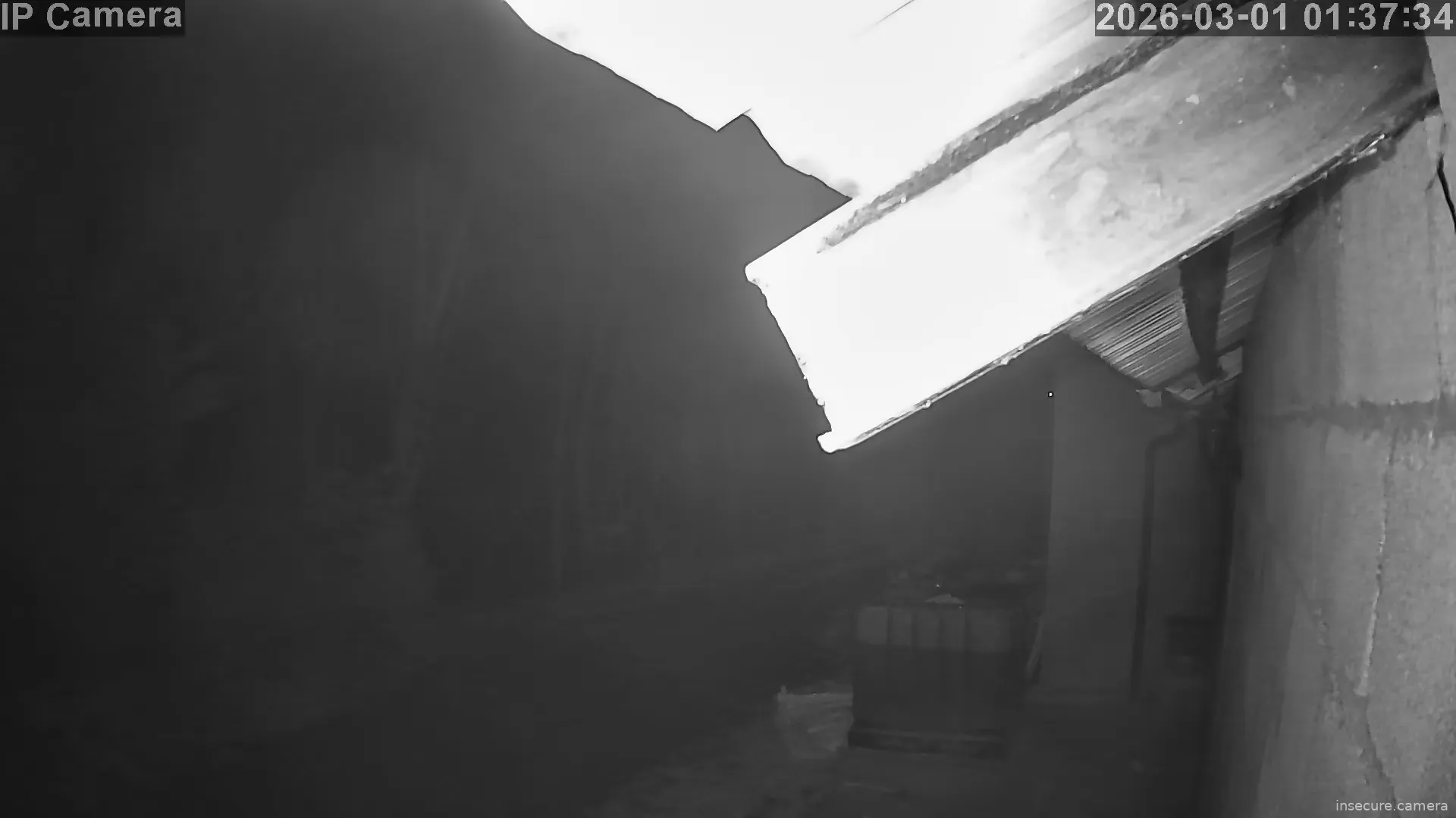 Capture from Mar 01, 2026 at 12:37 AM