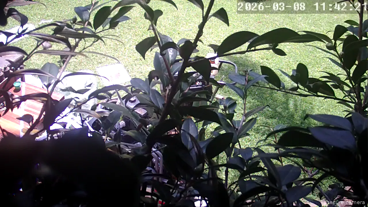 Capture from Mar 08, 2026 at 09:42 AM