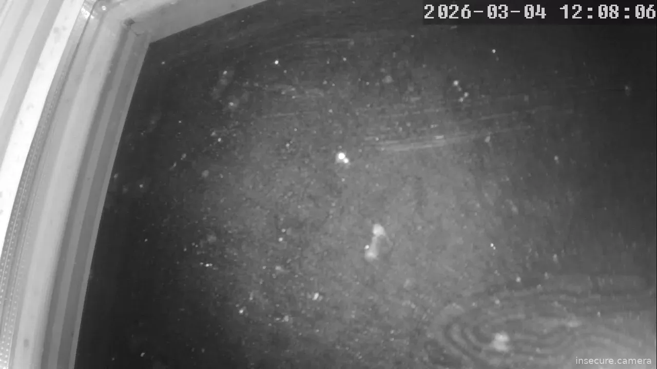 Capture from Mar 04, 2026 at 04:08 AM