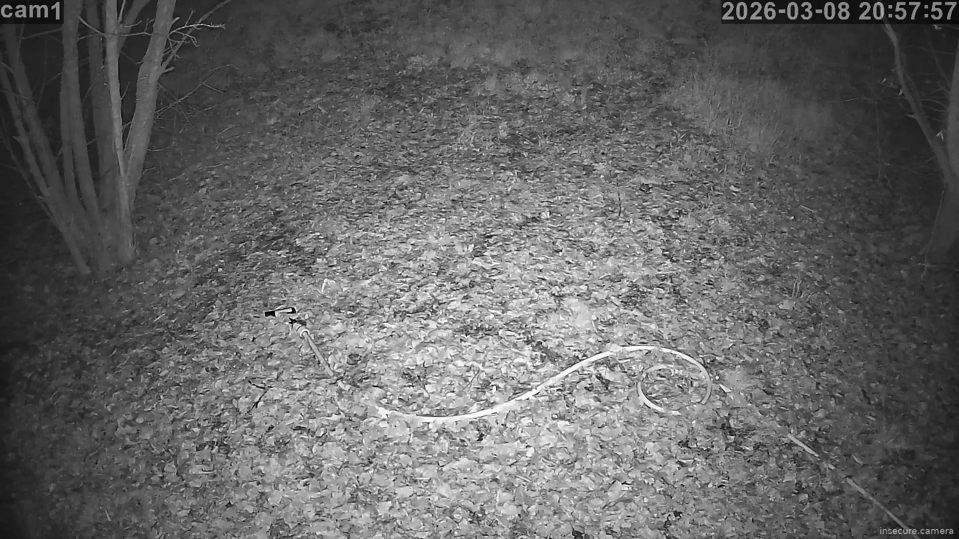 Capture from Mar 08, 2026 at 07:58 PM