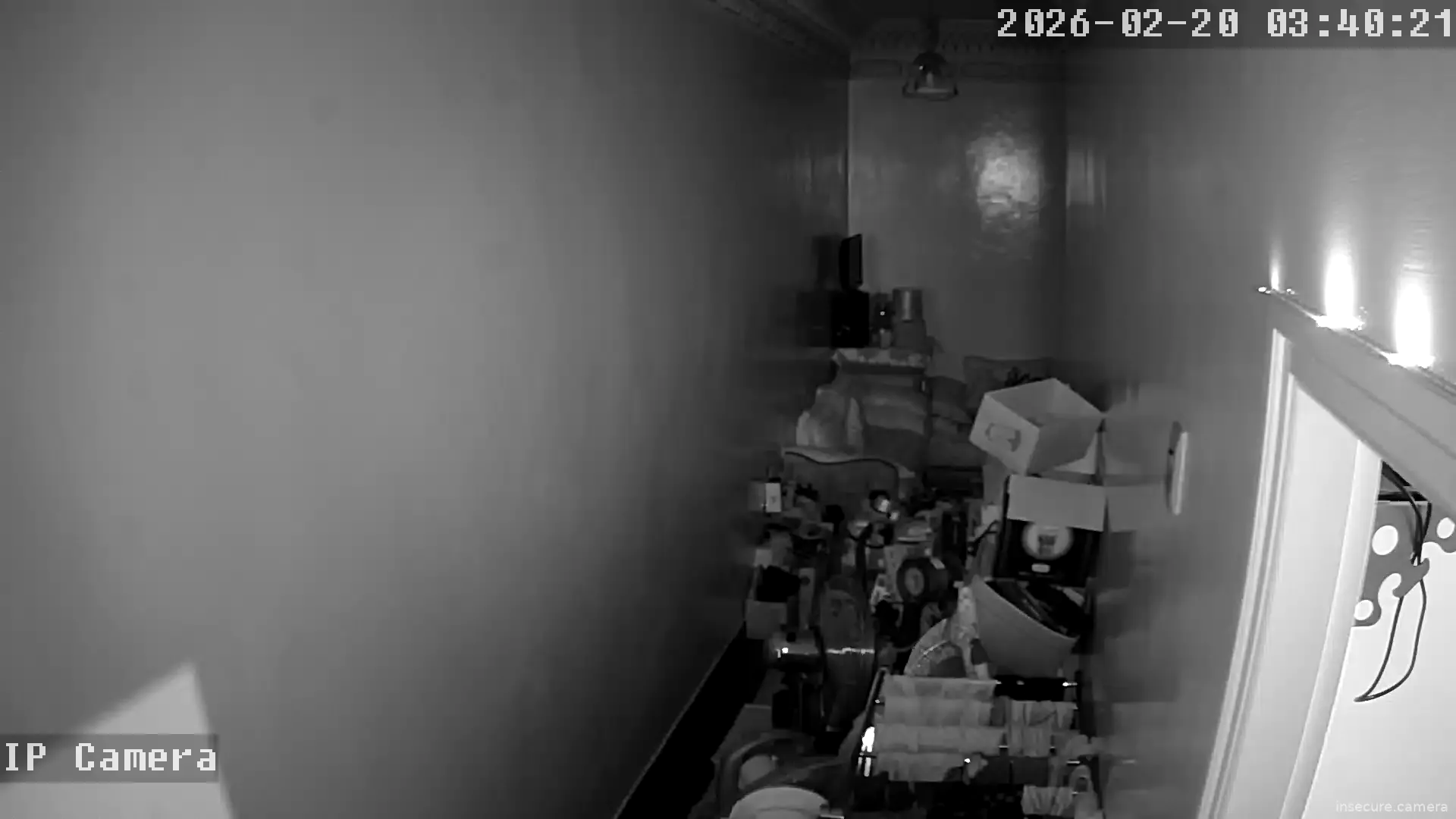 Capture from Feb 19, 2026 at 07:40 PM