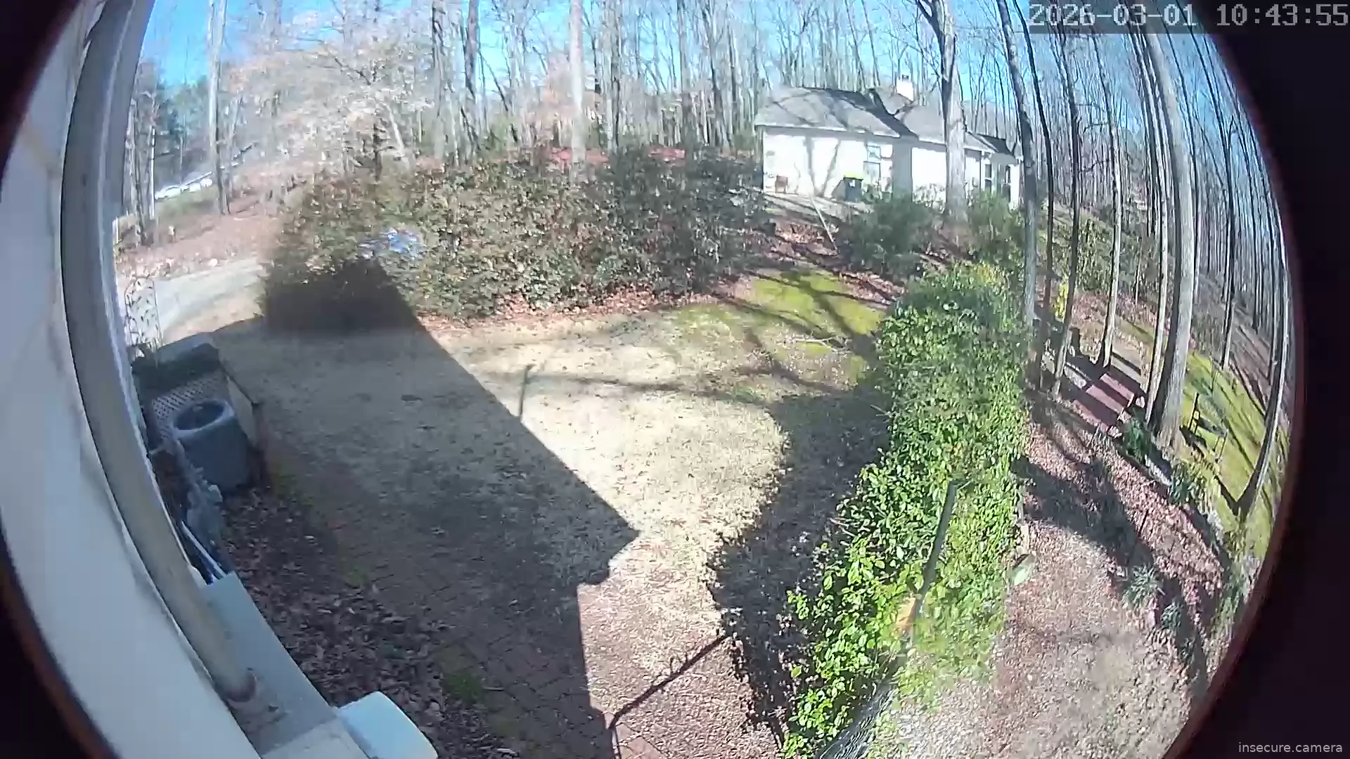 Capture from Mar 01, 2026 at 03:44 PM