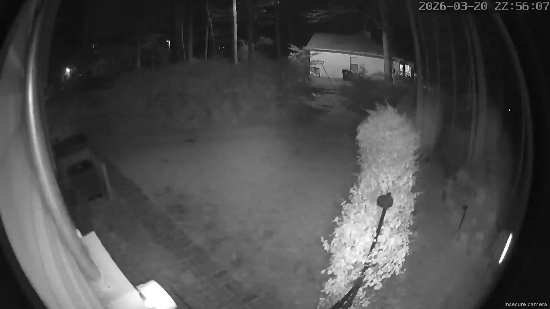 Capture from Mar 21, 2026 at 02:56 AM