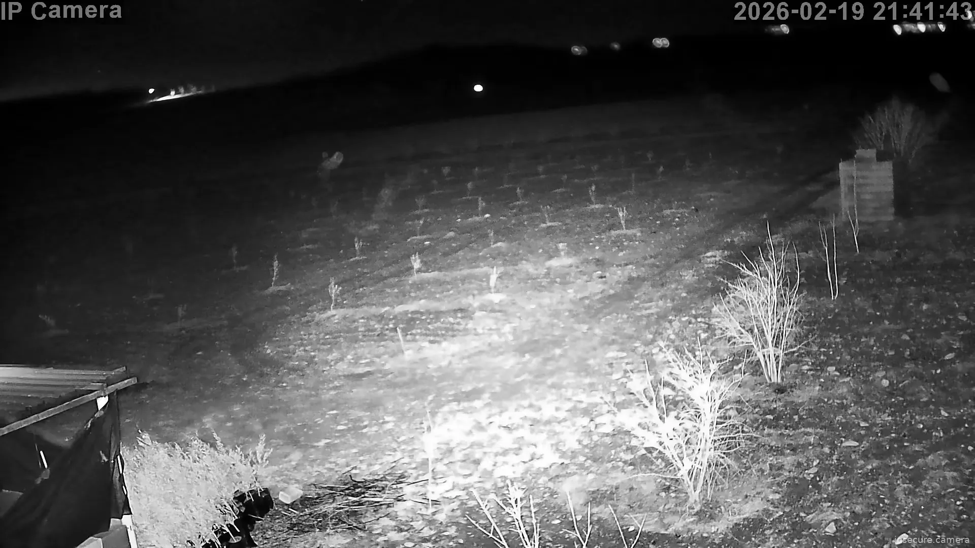 Capture from Feb 19, 2026 at 06:41 PM