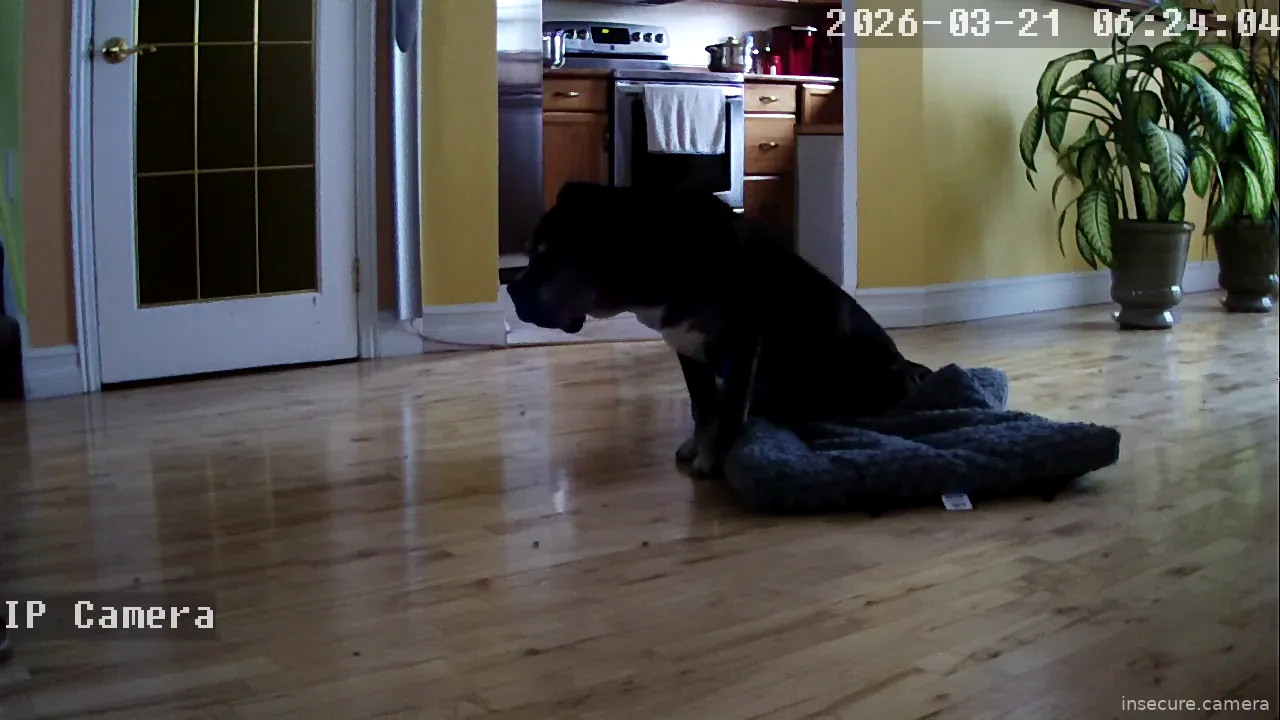 Capture from Mar 20, 2026 at 10:24 PM