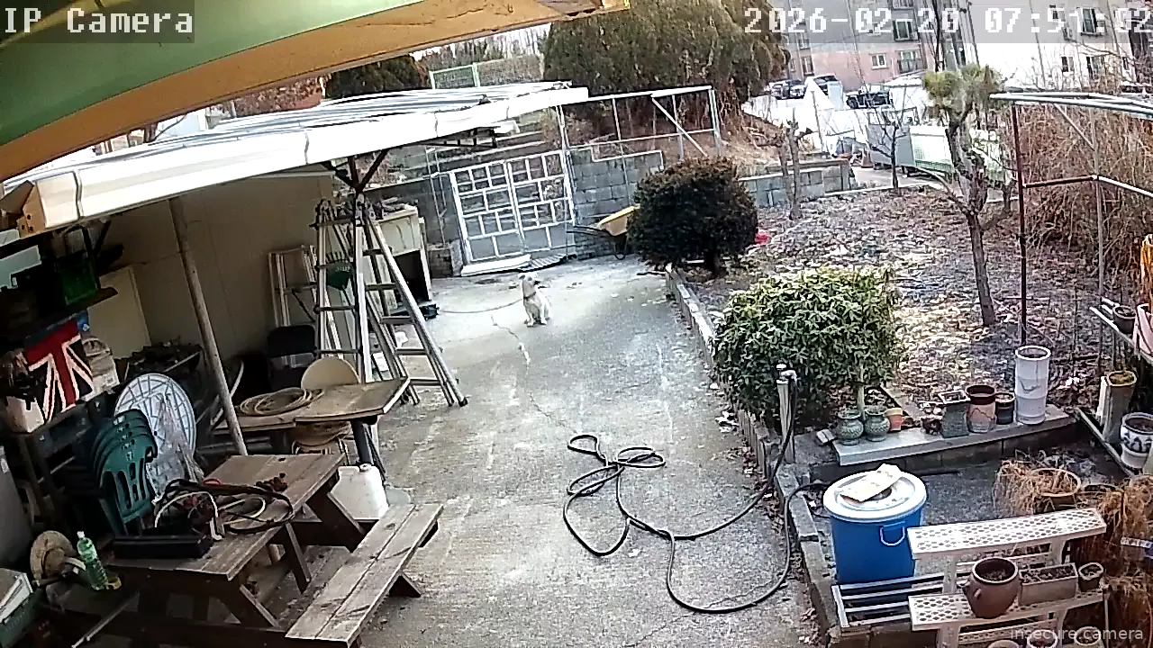 Capture from Feb 19, 2026 at 10:52 PM