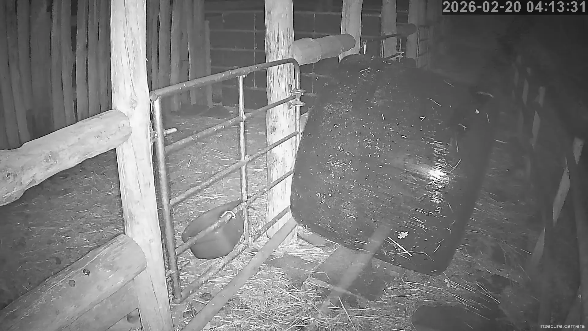 Capture from Feb 20, 2026 at 02:13 AM