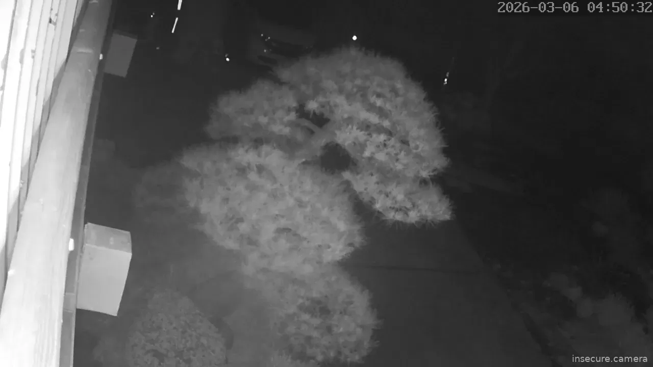 Capture from Mar 05, 2026 at 07:51 PM