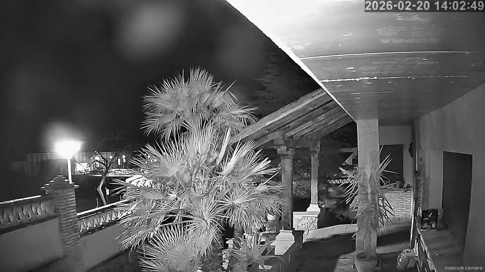 Capture from Feb 20, 2026 at 06:03 AM