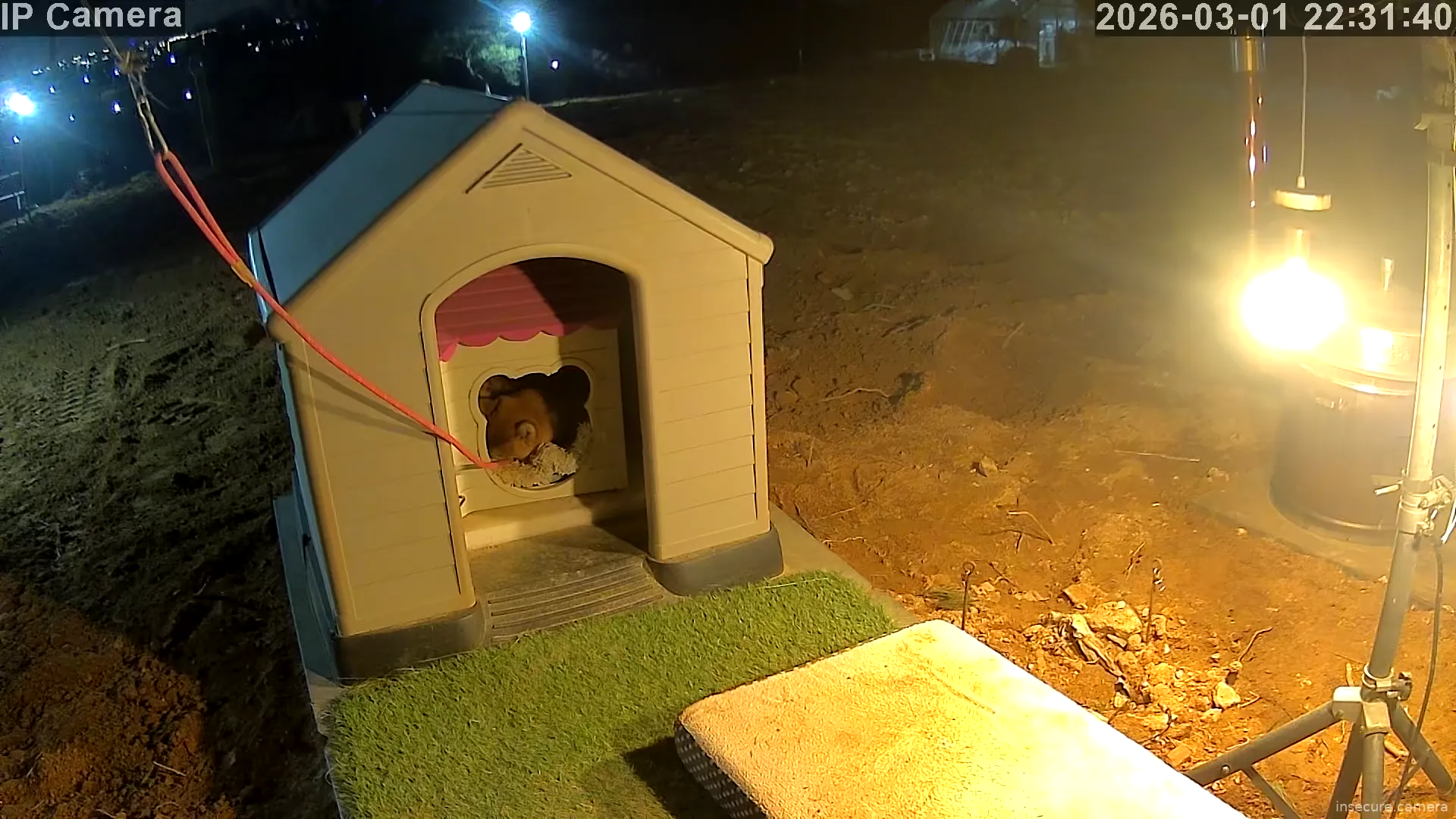 Camera in South Korea