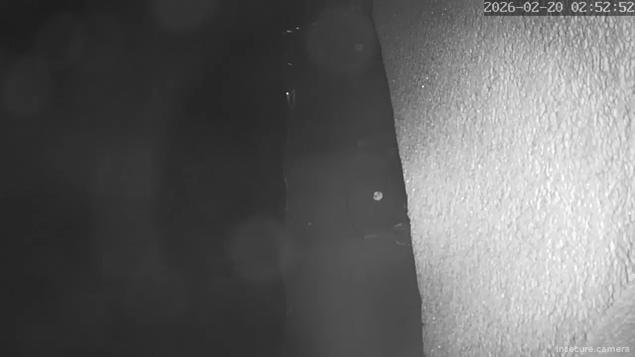 Capture from Feb 19, 2026 at 06:53 PM