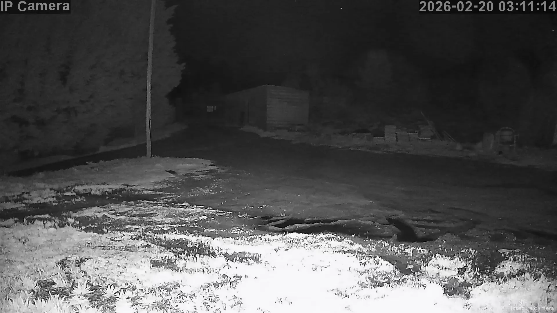 Capture from Feb 20, 2026 at 02:11 AM