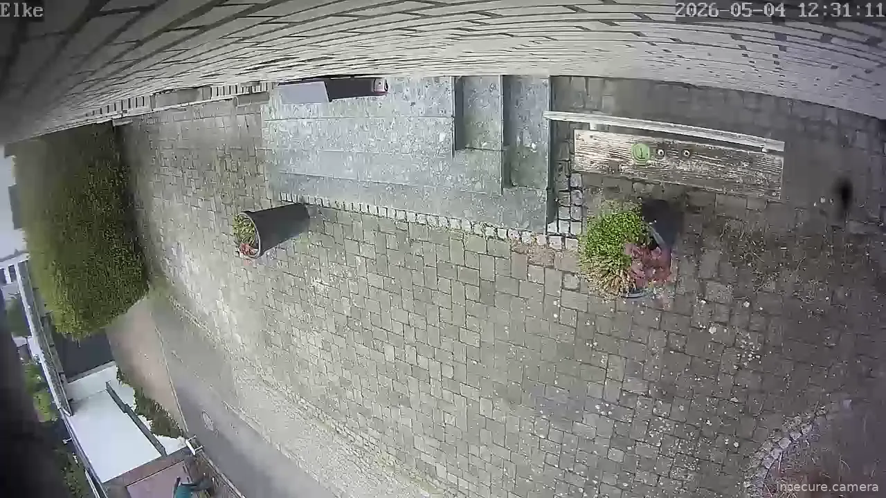 Camera in Germany