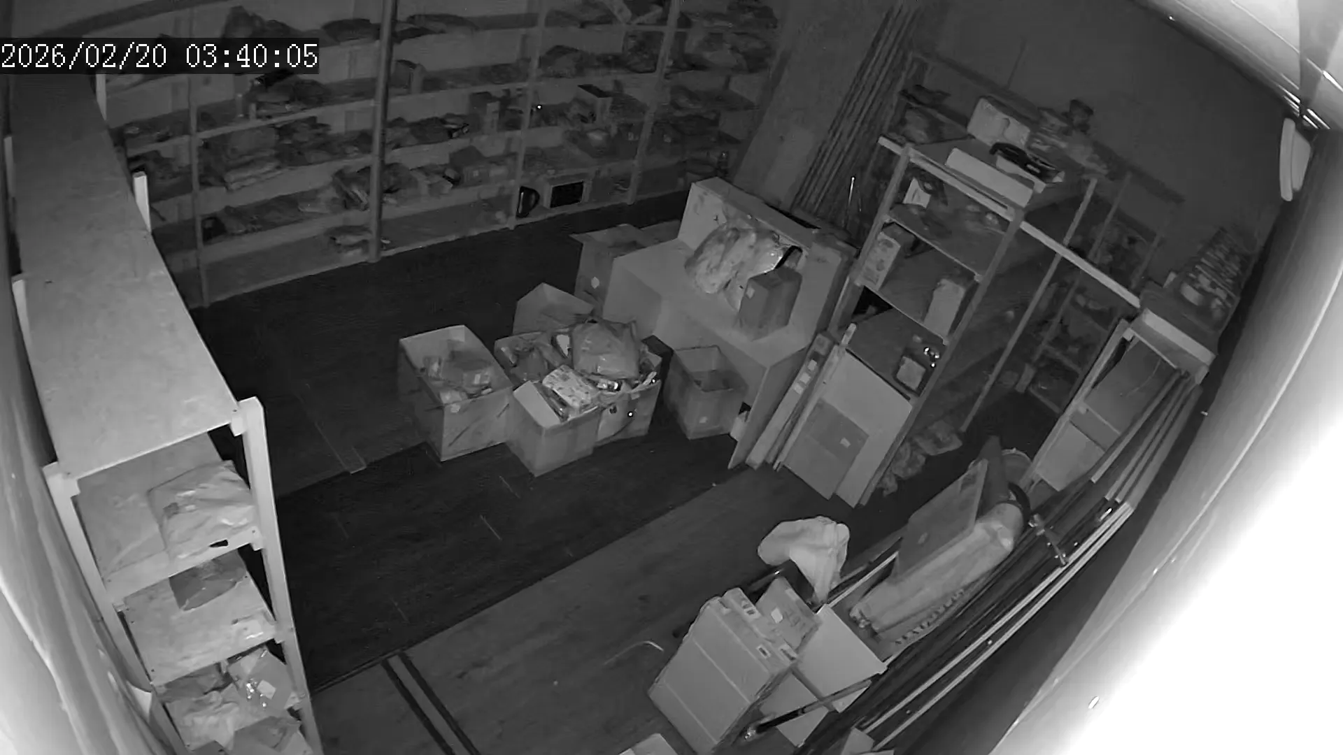 Capture from Feb 19, 2026 at 07:40 PM