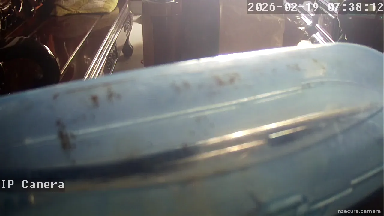 Capture from Feb 19, 2026 at 12:38 AM