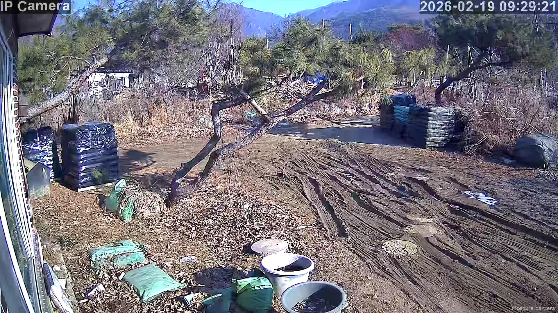 Capture from Feb 19, 2026 at 12:30 AM