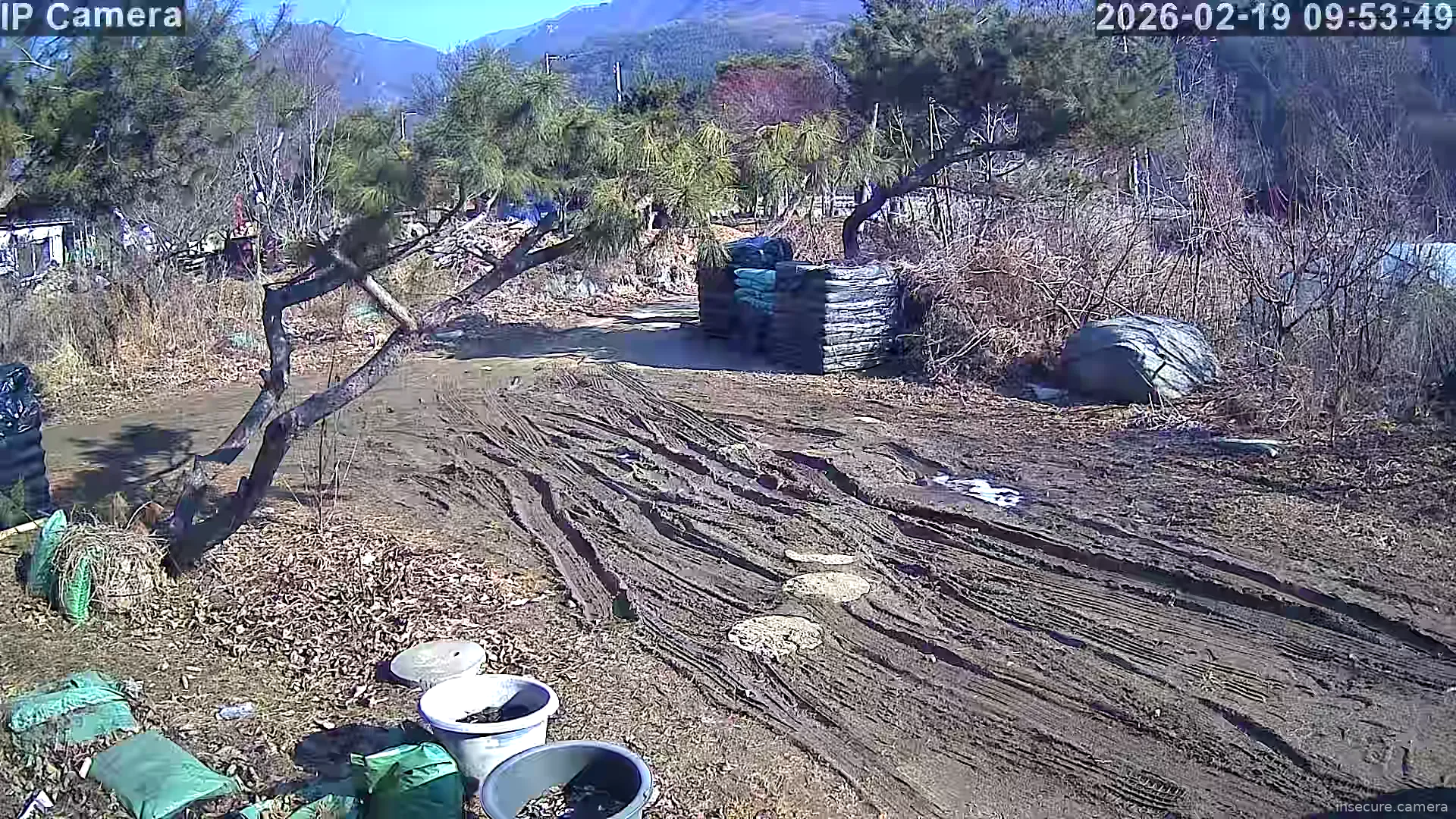 Capture from Feb 19, 2026 at 12:54 AM