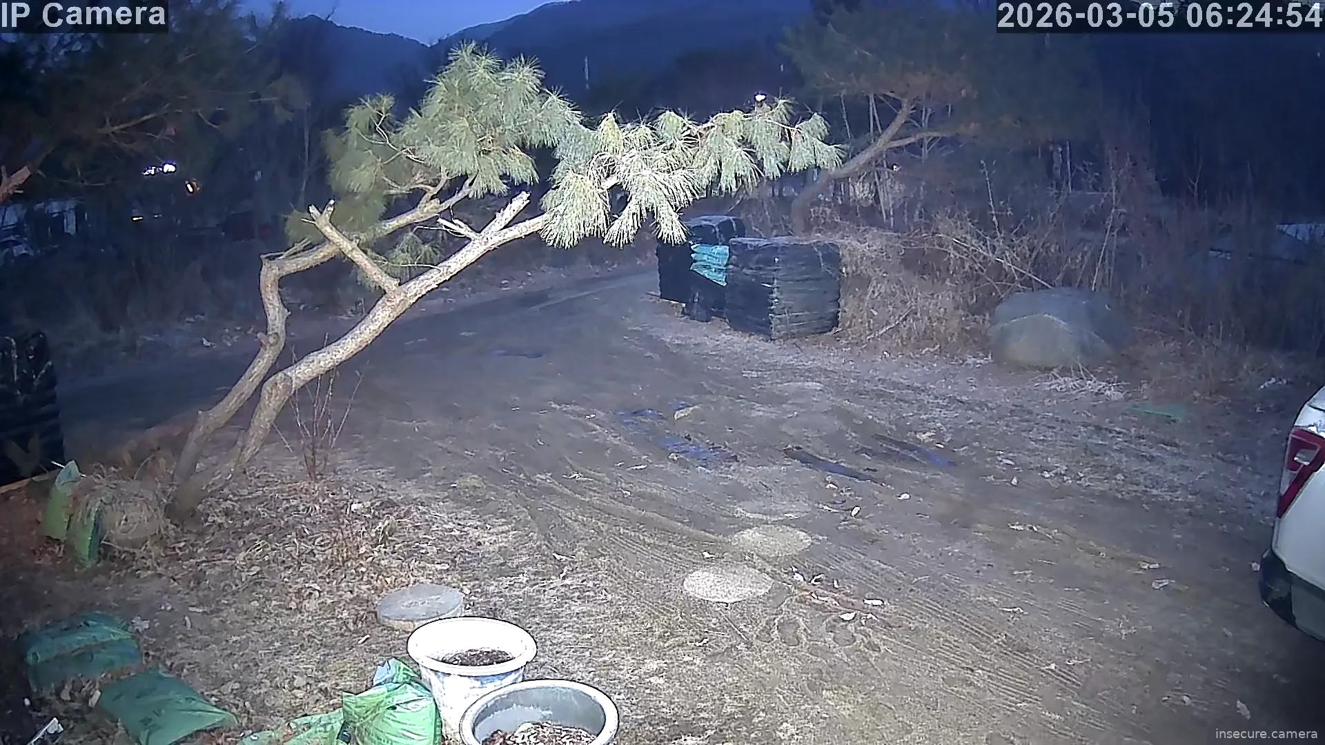 Camera in South Korea