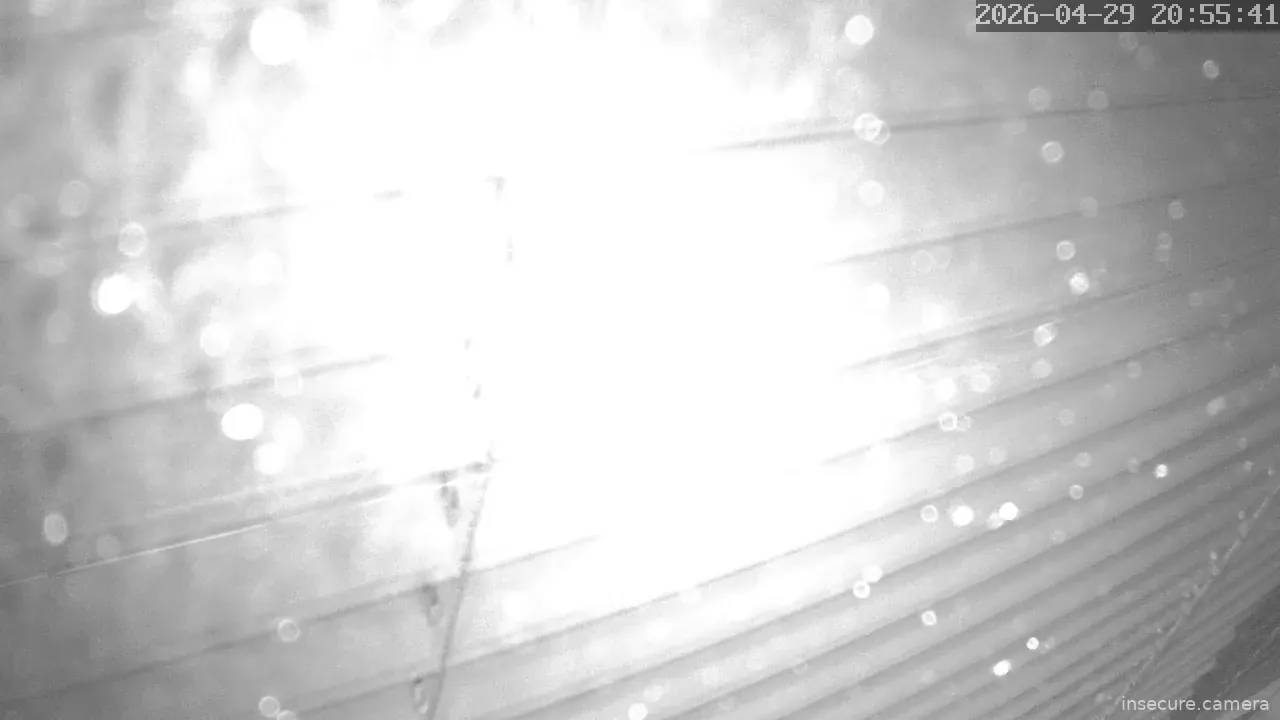 Capture from Apr 29, 2026 at 11:56 AM