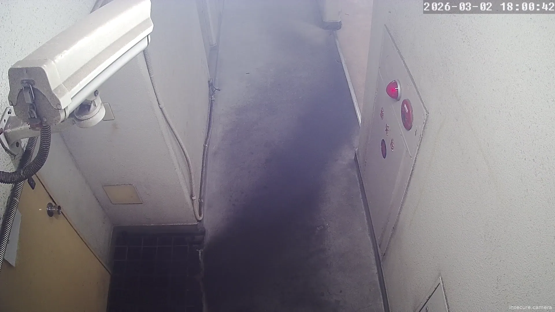 Capture from Mar 02, 2026 at 09:01 AM