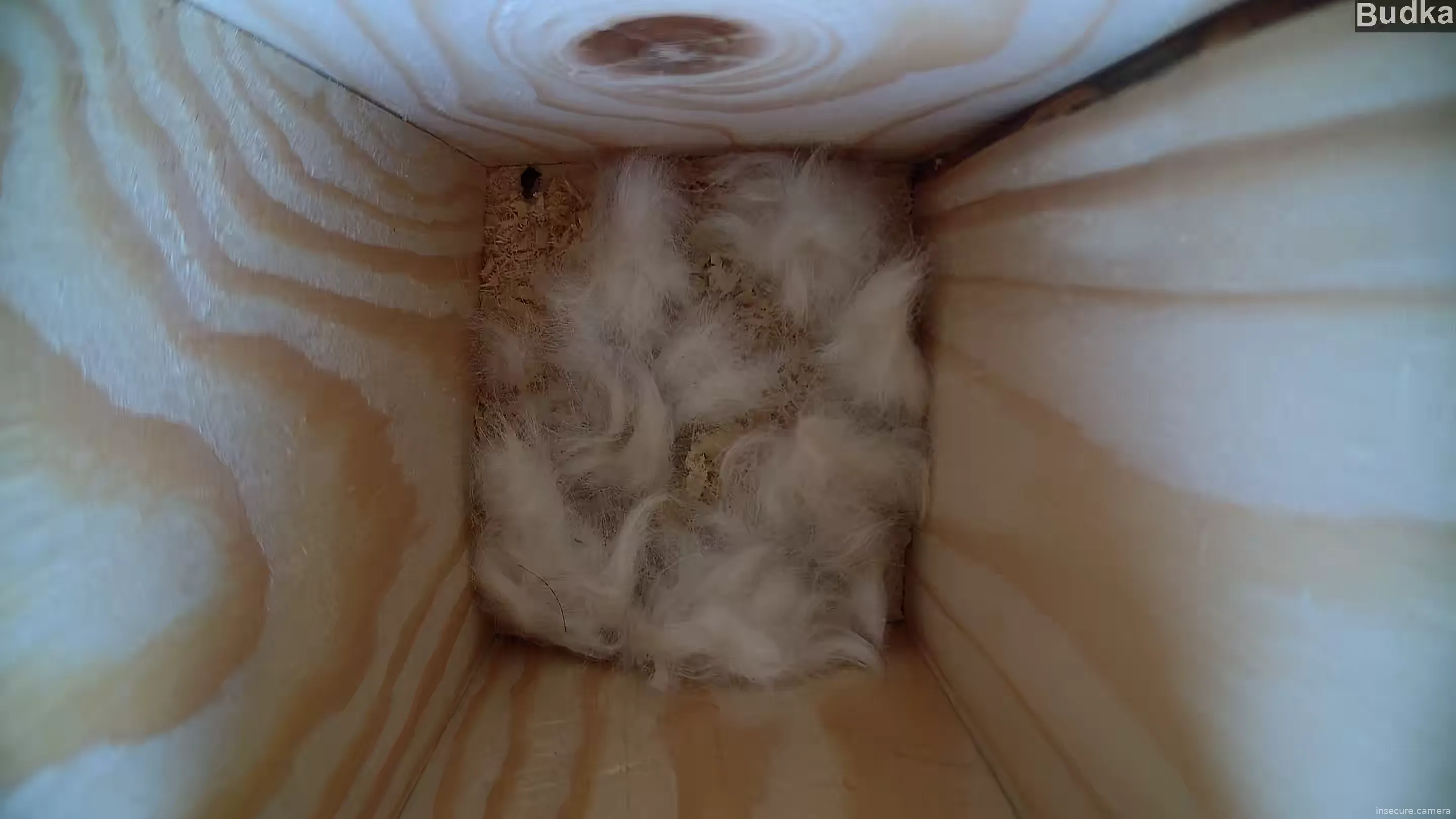 Capture from Mar 05, 2026 at 09:41 AM