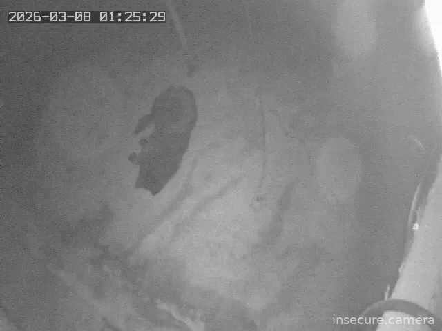 Capture from Mar 07, 2026 at 04:48 PM