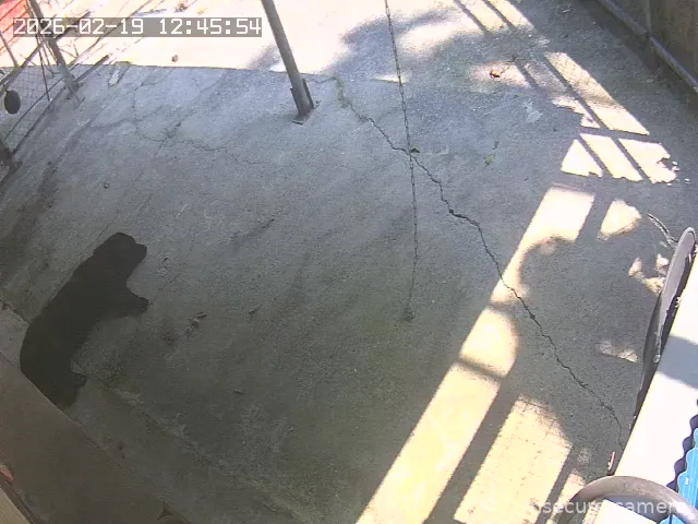 Capture from Feb 19, 2026 at 04:09 AM