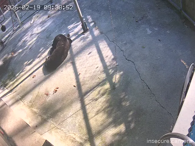 Capture from Feb 19, 2026 at 01:03 AM