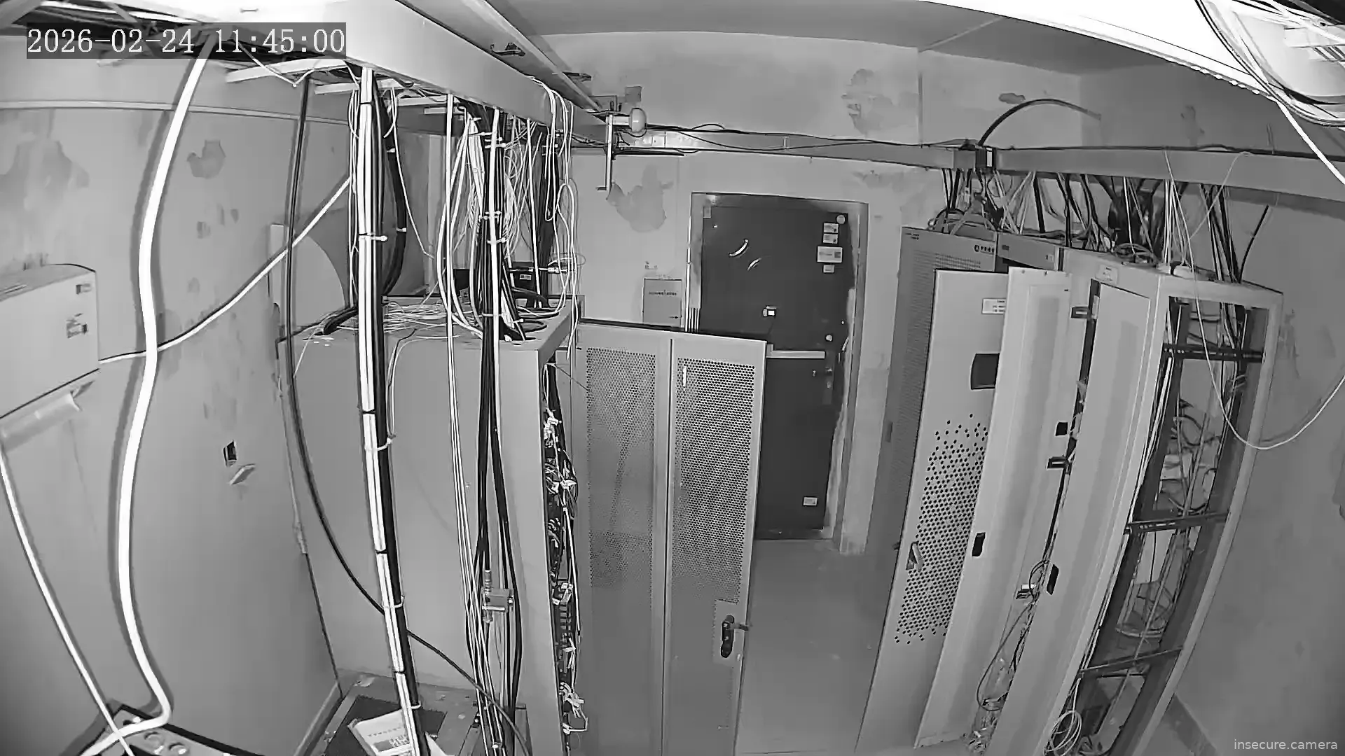 Capture from Feb 24, 2026 at 03:45 AM