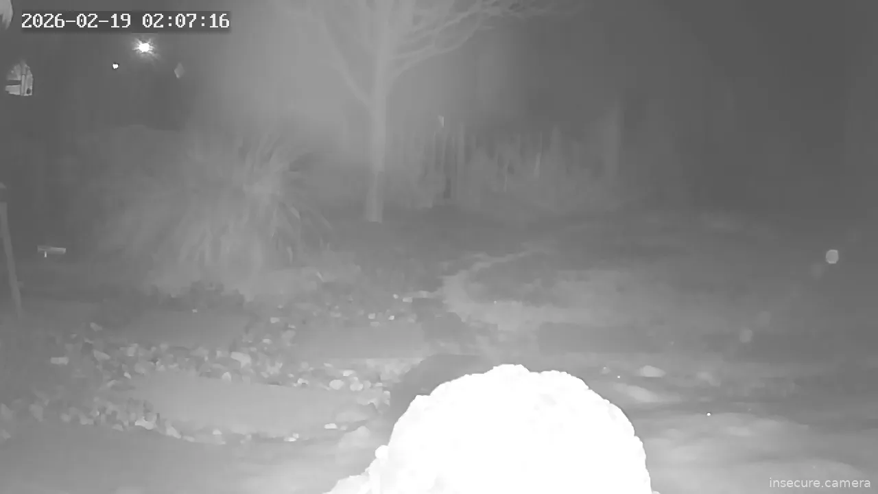 Capture from Feb 19, 2026 at 01:07 AM