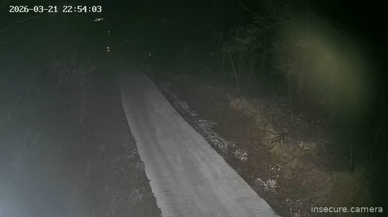 Camera in South Korea