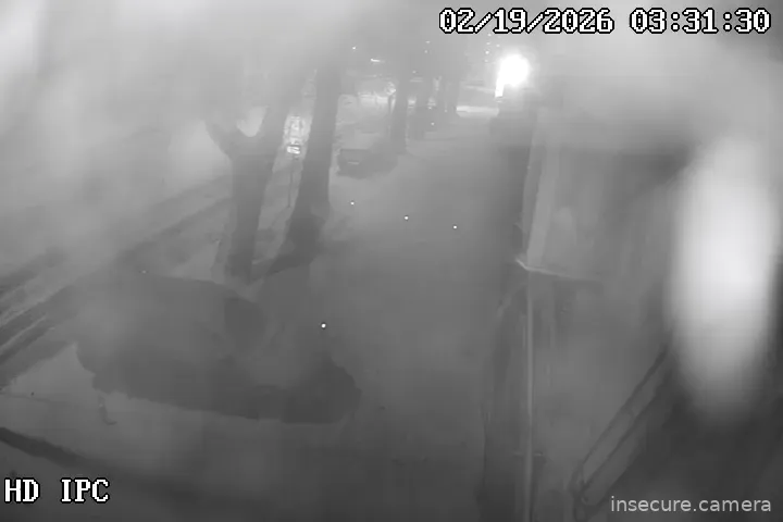 Capture from Feb 19, 2026 at 01:05 AM