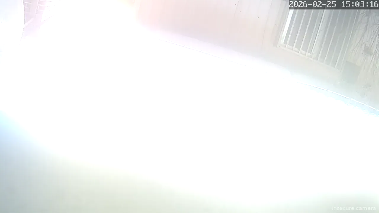 Capture from Feb 25, 2026 at 06:03 AM