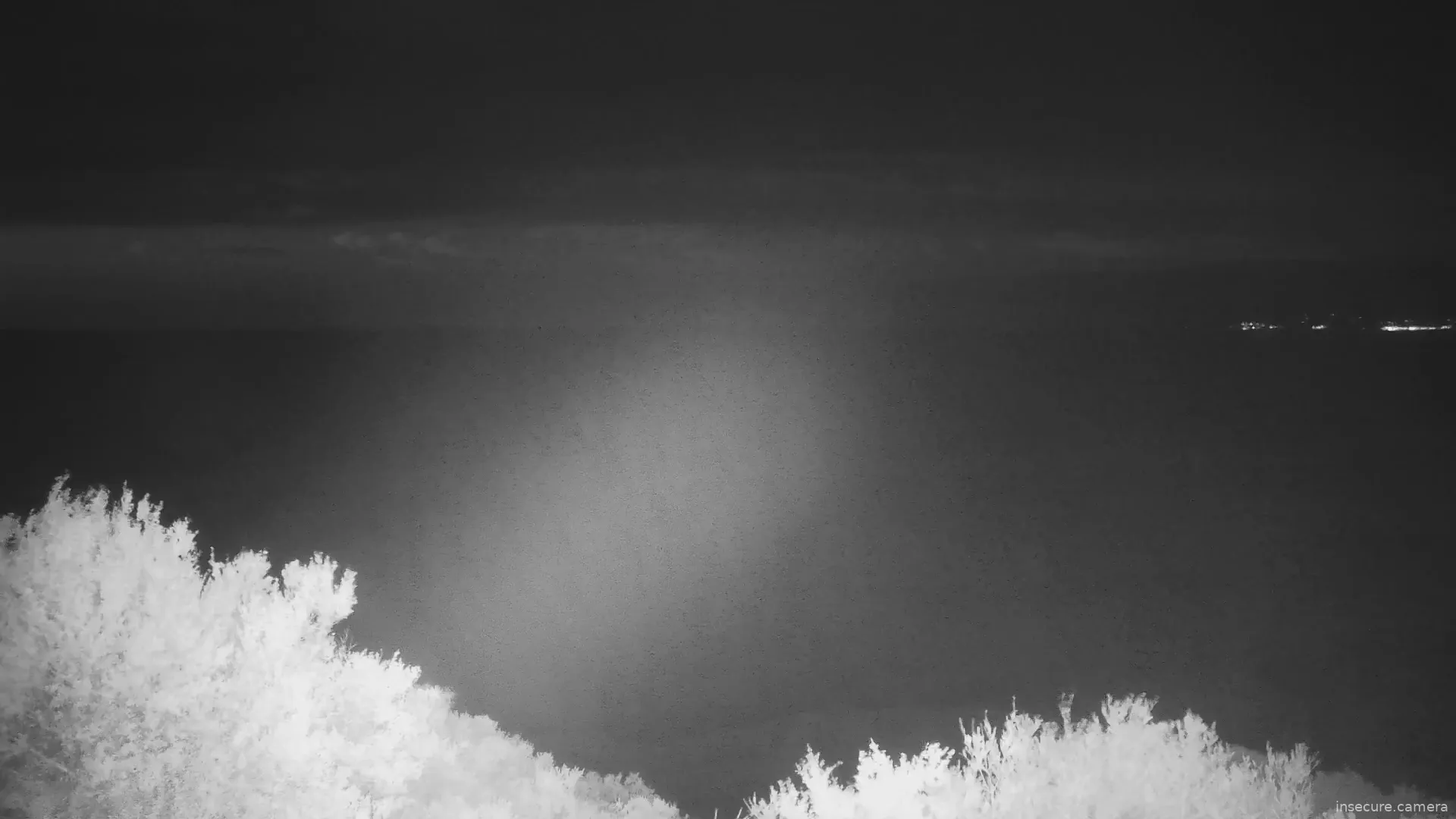 Capture from Feb 26, 2026 at 07:11 PM